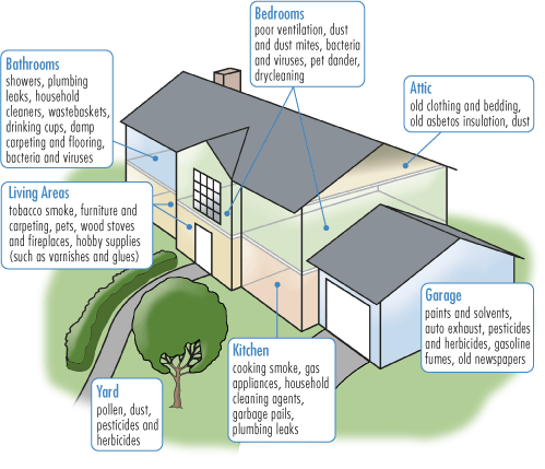House diagram where mold grows